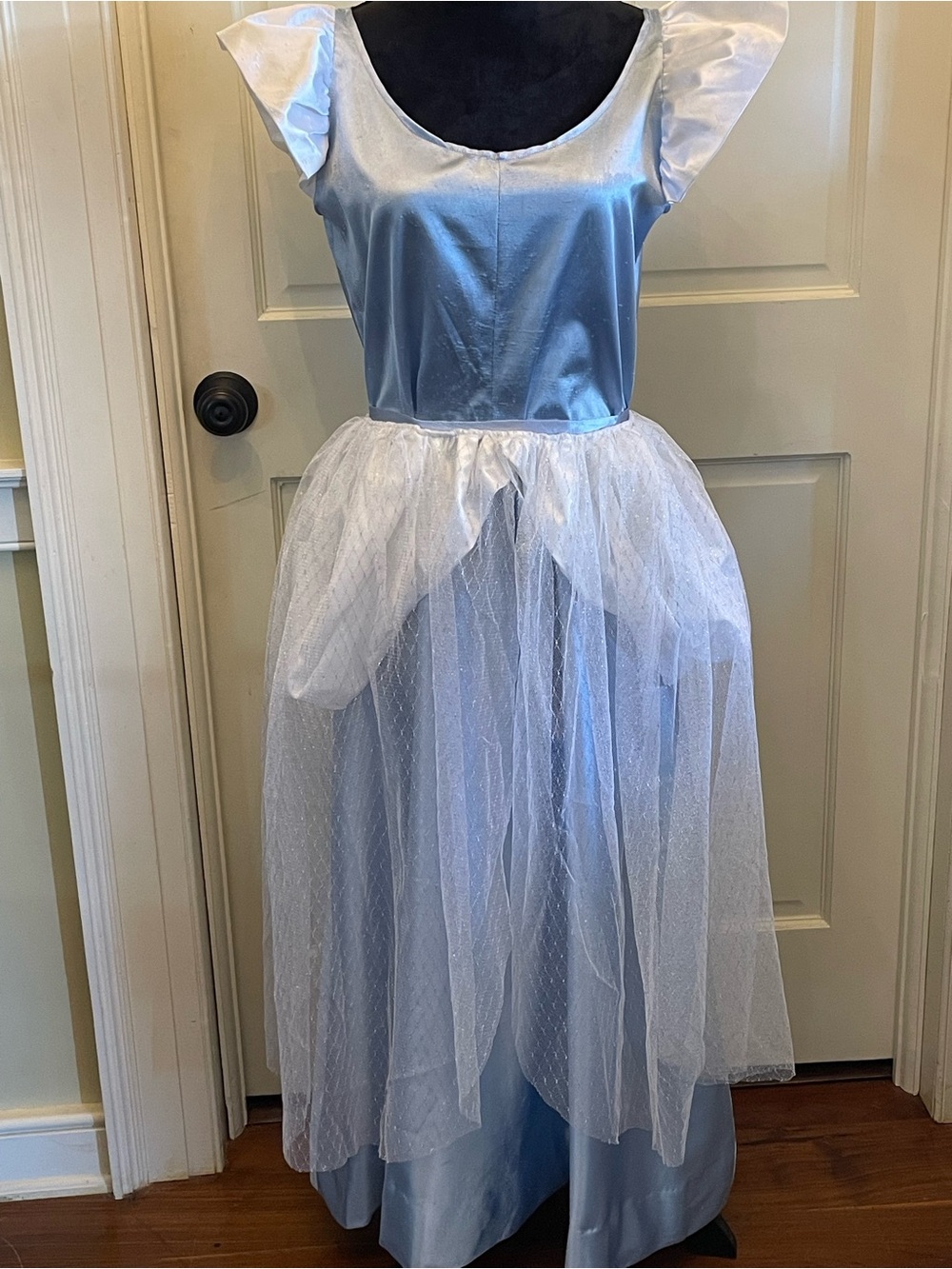 Women’s Cinderella Costume